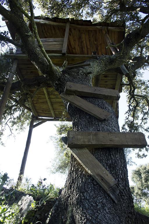 Casa Rural Ecologica Huerta Del Pirata Fuente de Cantos Bagian luar foto