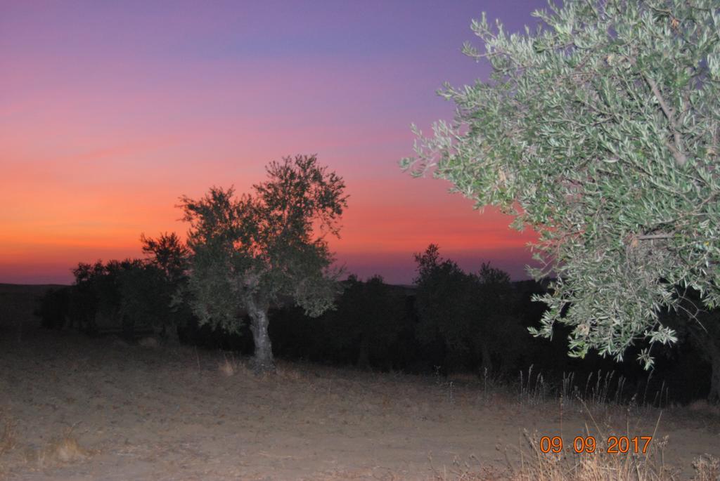 Casa Rural Ecologica Huerta Del Pirata Fuente de Cantos Bagian luar foto